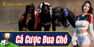 Tổng quan Cá Cược Đua Chó cho người mới bắt đầu