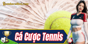 Tổng quan Cá Cược Tennis cho người mới