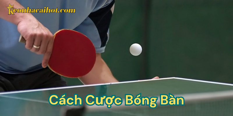 Cách cược bóng bàn - Kèo nhà cái