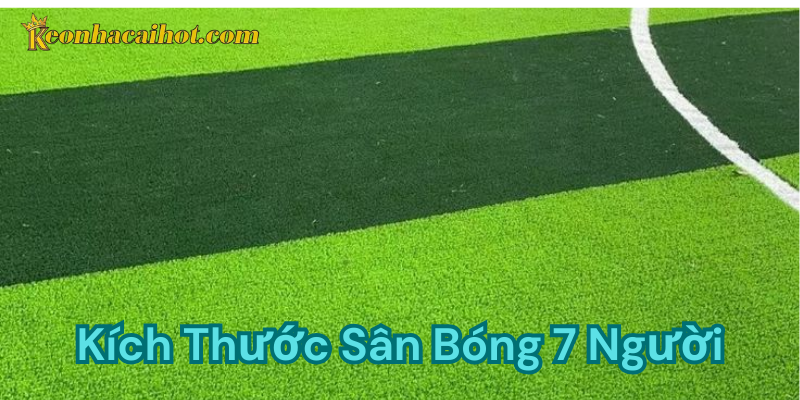 kích thước sân bóng 7 người - Kèo nhà cái